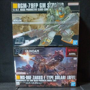 機動戦士ガンダム HG ジム・ストライカー ザクⅡ F型 ソラリ機(復讐のレクイエム) 未組立品