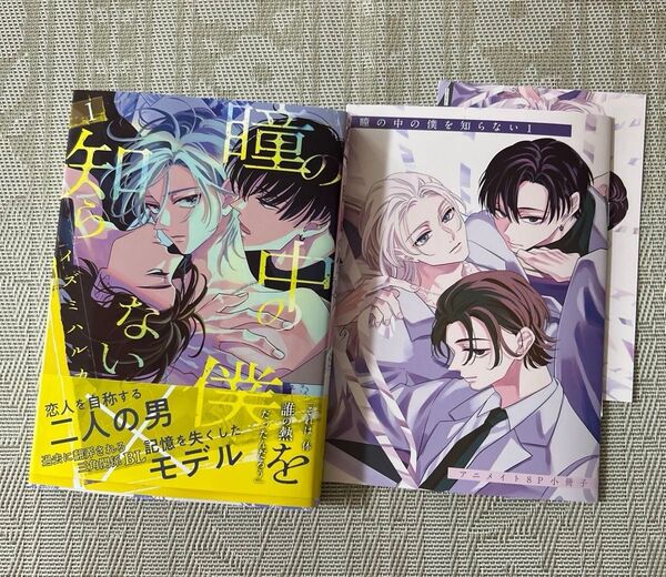 瞳の中の僕を知らない 1 イズミハルカ アニメイト小冊子 イラストカード付き