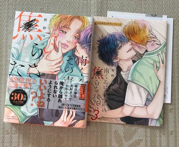 南くんはその声に焦らされたい3 相野ココ とらのあなリーフレット ペーパー付き
