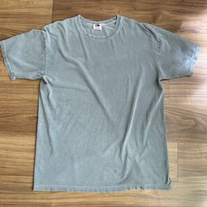 フルーツオブザルーム ダメージTシャツ