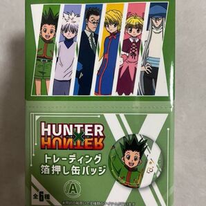 ジロリ ハンターハンター 箔押し缶バッジ
