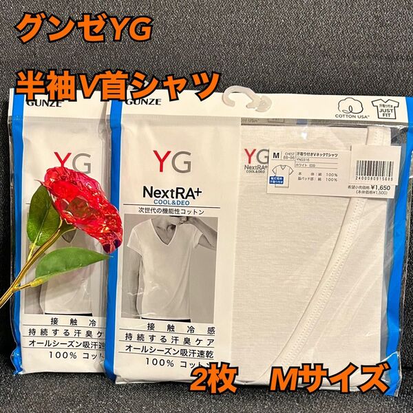 9【下着 肌着 インナー】グンゼ YG 半袖V首シャツ Tシャツ 2枚 M