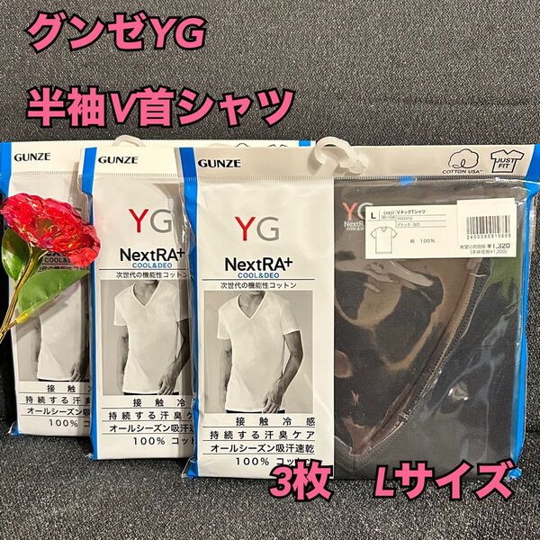 10【下着 肌着 インナー】グンゼ YG 半袖V首シャツ Tシャツ 3枚 L