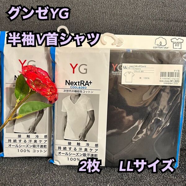 11【下着 肌着 インナー】グンゼ YG 半袖V首シャツ Tシャツ 2枚 LL
