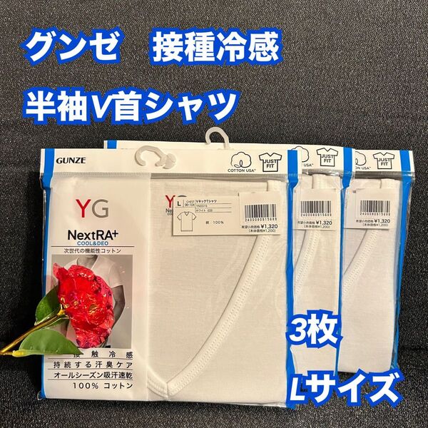 20【下着 肌着 インナー】グンゼ YG 半袖V首シャツ Tシャツ 3枚 L