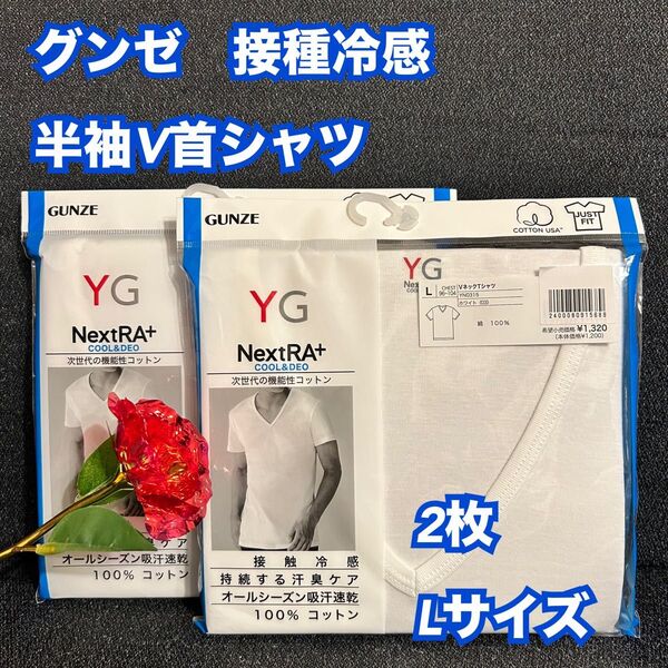 21【下着 肌着 インナー】グンゼ YG 半袖V首シャツ Tシャツ 2枚 L