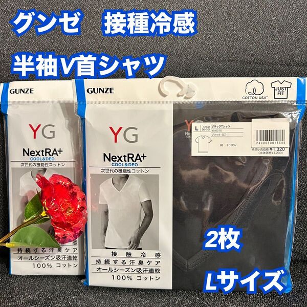 23【下着 肌着 インナー】グンゼ YG 半袖V首シャツ Tシャツ 2枚 L