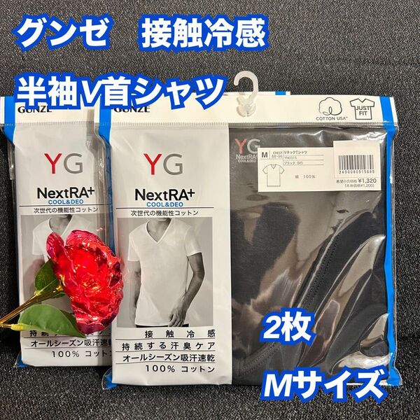 26【下着 肌着 インナー】グンゼ YG 半袖V首シャツ Tシャツ 2枚 M