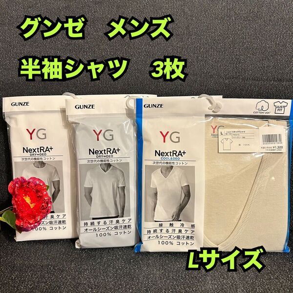 31【下着 肌着 インナー】グンゼ YG 半袖丸・V首シャツ Tシャツ 3枚L
