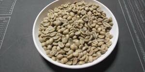 コーヒー生豆　エルサルバドル　ベジャヴィスタ農園　１０キロバック　トップオブスペシャルティー　COE入賞実績名門農園