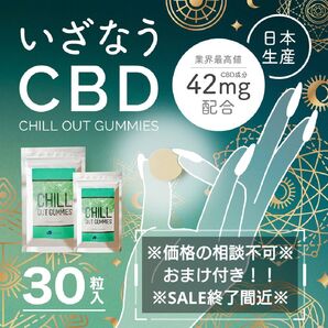 CBDグミ 高濃度42mg 30粒入り 国産チルアウトグミ ZIOR ※商品説明を必ずご確認ください※