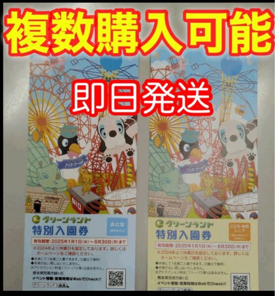 グリーンランド入園券
