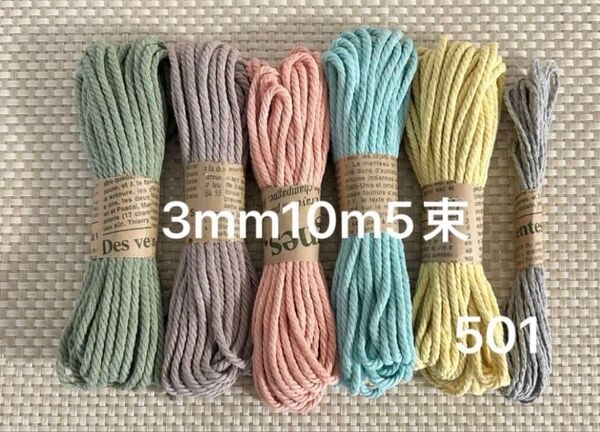 マクラメ糸★3mm10m5束★501 おまけ付き お試しに