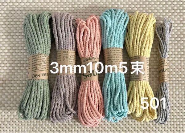 マクラメ糸★3mm10m6束★501 おまけ付き お試しに