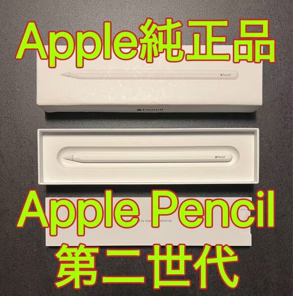 美品 Apple Pencil (第2世代) MU8F2JA