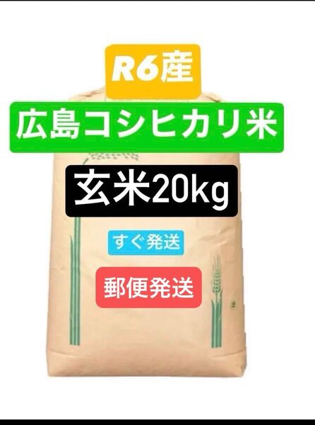 R6年広島コシヒカリ米玄米20kgお米