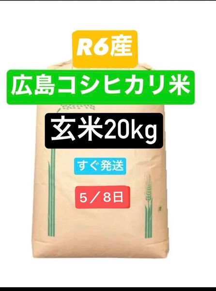 R6年産 お米 広島コシヒカリ 玄米 20kg