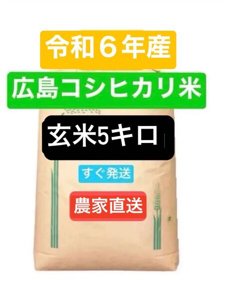 お米 コシヒカリ 玄米5kg 令和6年産 農家直送