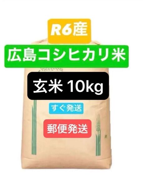 お米 コシヒカリ 玄米 10kg 令和6年産 農家直送
