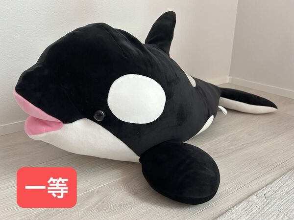 神戸須磨シーワールド オルカくじ1等シャチのぬいぐるみ