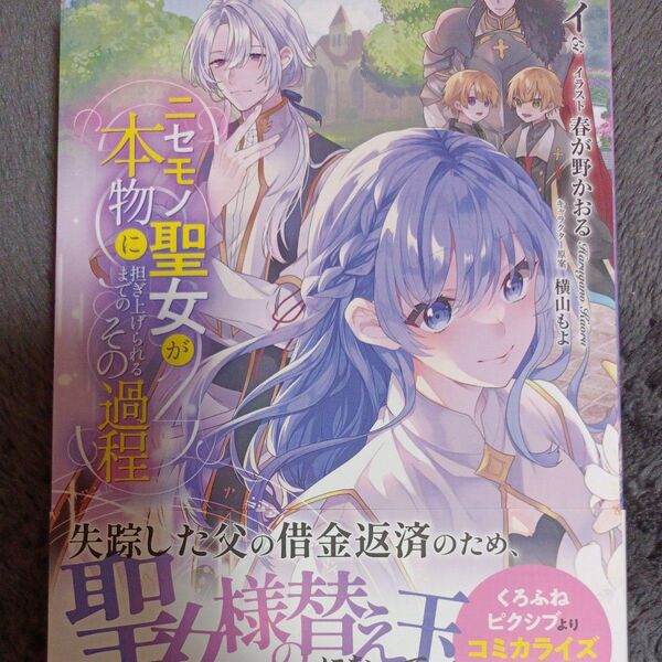 同封200円引き 小説 ニセモノ聖女が本物に担ぎ上げられるまでのその過程 (アリアンローズ) エイ/著