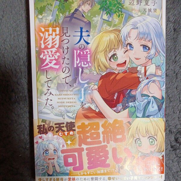 同封200円引き 夫の隠し子を見つけたので、溺愛してみた。 辺野夏子/著