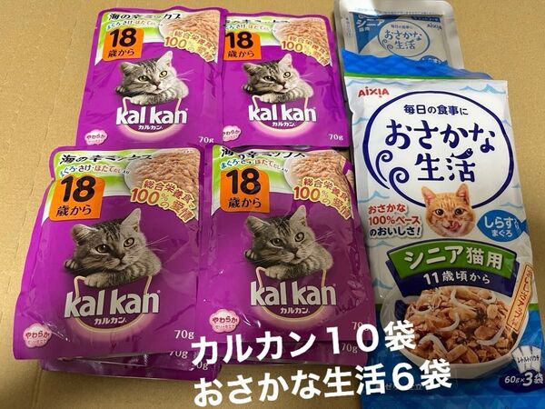 カルカンパウチ 18歳から10袋 おさかな生活 シニア 60g6袋 猫ウエットセット