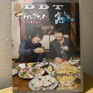 DDT NAVAGRAHA Dragon & Tiger ファンディスク4 DVD