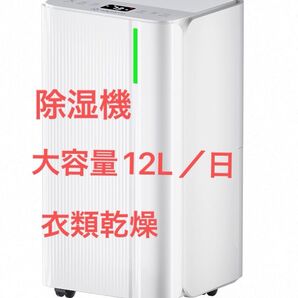 除湿機 衣類乾燥 静音 自動霜取り 除湿器 12L木造15畳・鉄筋30畳まで 家庭用 衣類乾燥除湿機 除湿機 大容量