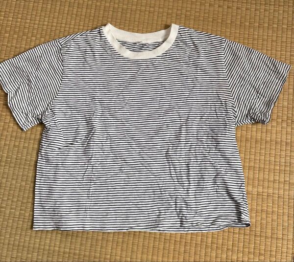 UNIQLO ストライプ クロップドTシャツ Lサイズ ボーダー