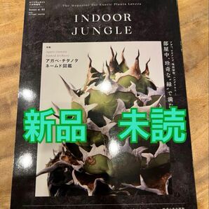 INDOOR JUNGLE 1号新品未読 アガベ グラキリスインドアジャングル