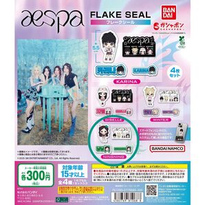 【未開封】 aespa FLAKE SEAL エスパ フレークシール ニンニン Hot Mess