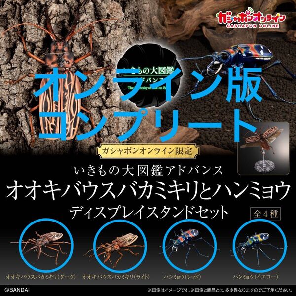 【オンライン版】 いきもの大図鑑 アドバンス オオキバウスバカミキリ ハンミョウ コンプリート ダーク ライト レッド イエロー