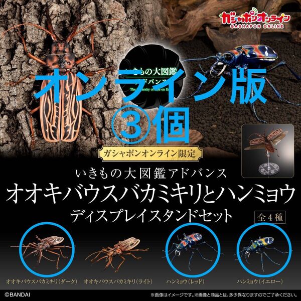 【オンライン版③個】 いきもの大図鑑 アドバンス オオキバウスバカミキリ ダーク ハンミョウ レッド イエロー