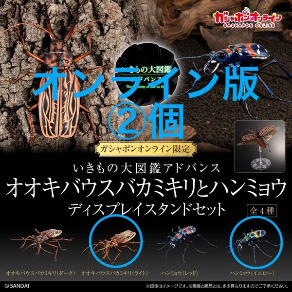 【オンライン版②個】 いきもの大図鑑 アドバンス オオキバウスバカミキリ ライト ハンミョウ イエロー