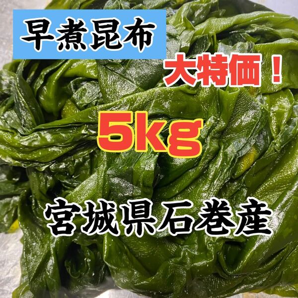 早煮昆布 宮城県石巻産 訳あり