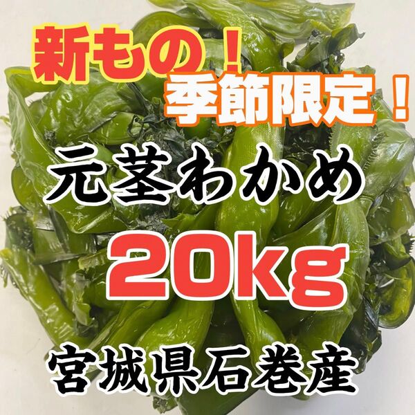 元茎わかめ 宮城県石巻産 新もの!