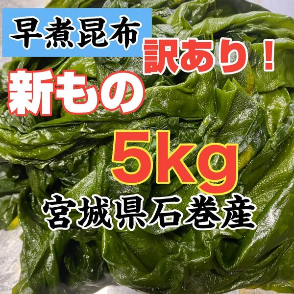早煮昆布 新もの!宮城県石巻産 訳あり