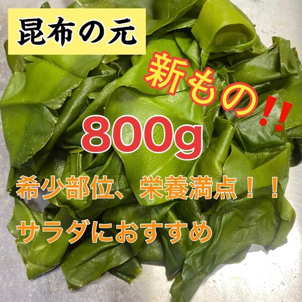 昆布の元 宮城県石巻産 新もの!