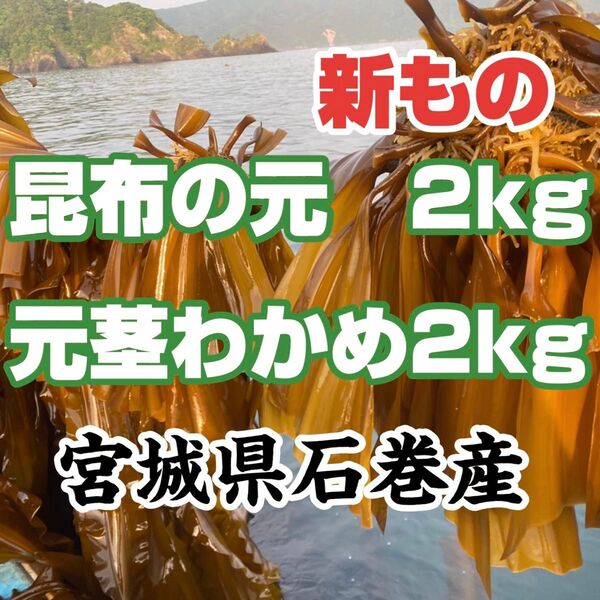 昆布の元 元茎わかめセット 新もの!宮城県石巻産