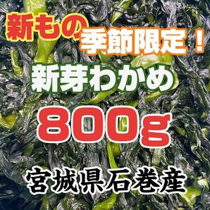 新芽わかめ 宮城県石巻産 新もの!