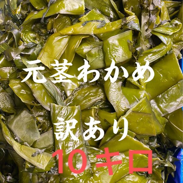 元茎わかめ 宮城県石巻産 新もの!
