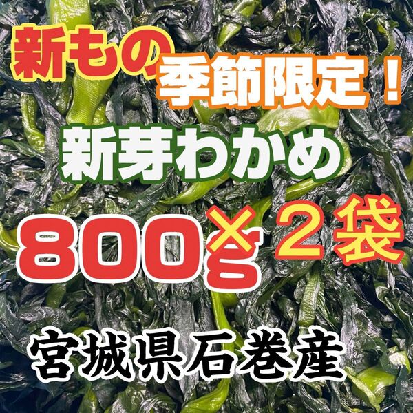 新芽わかめ 2袋 宮城県石巻産 新もの