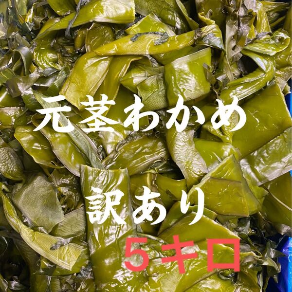 元茎わかめ 宮城県石巻産 新もの!訳あり