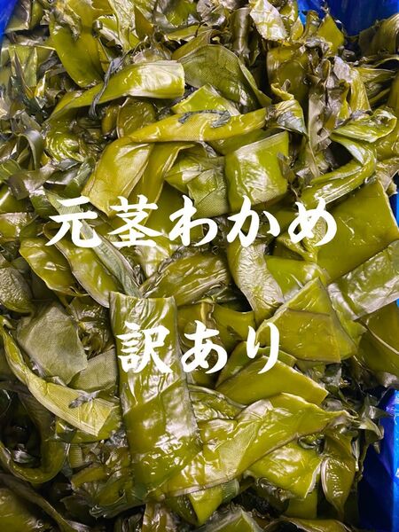 元茎わかめ 新もの 10キロ 訳あり