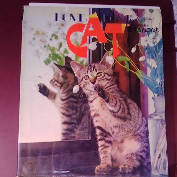 LOVE AND THE CAT 写真集 洋書
