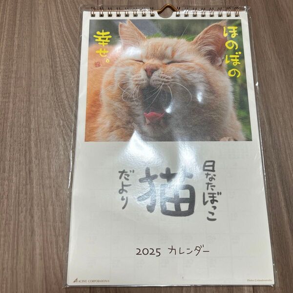 アクティブコーポレーション 2025年 カレンダー 壁掛け 日なたぼっこ猫だより 25ACL-04 2025年 1月始まり