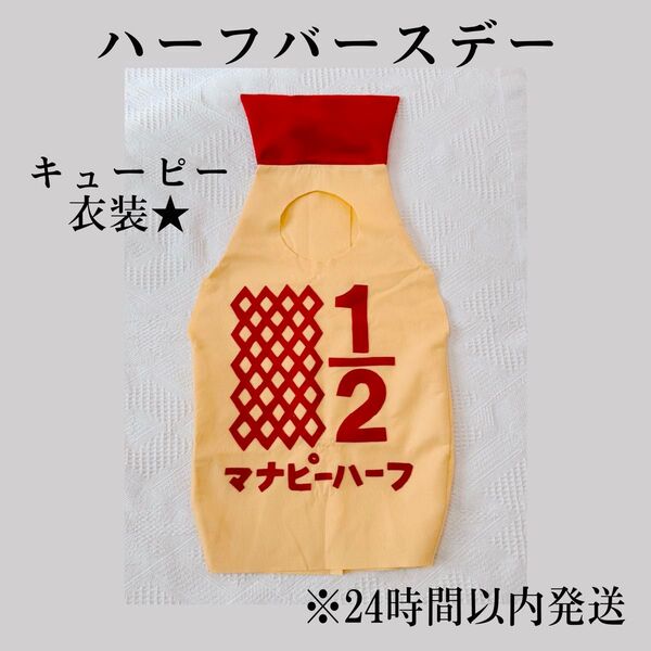 キューピーハーフバースデー キューピー衣装