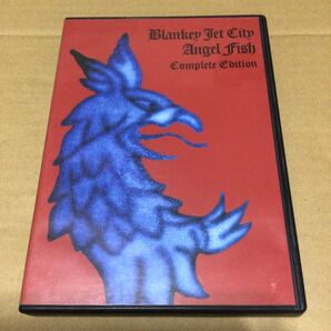 Blankey Jet City Angel Fish Complete Edition DVD 美品 ブランキージェットシティ