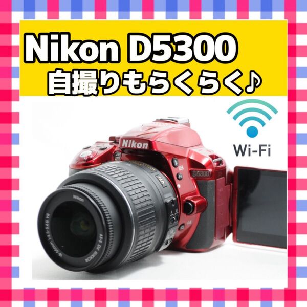Nikon ニコン D5300 レンズキット Wi-Fi搭載 一眼レフカメラ デジタルカメラ デジカメ